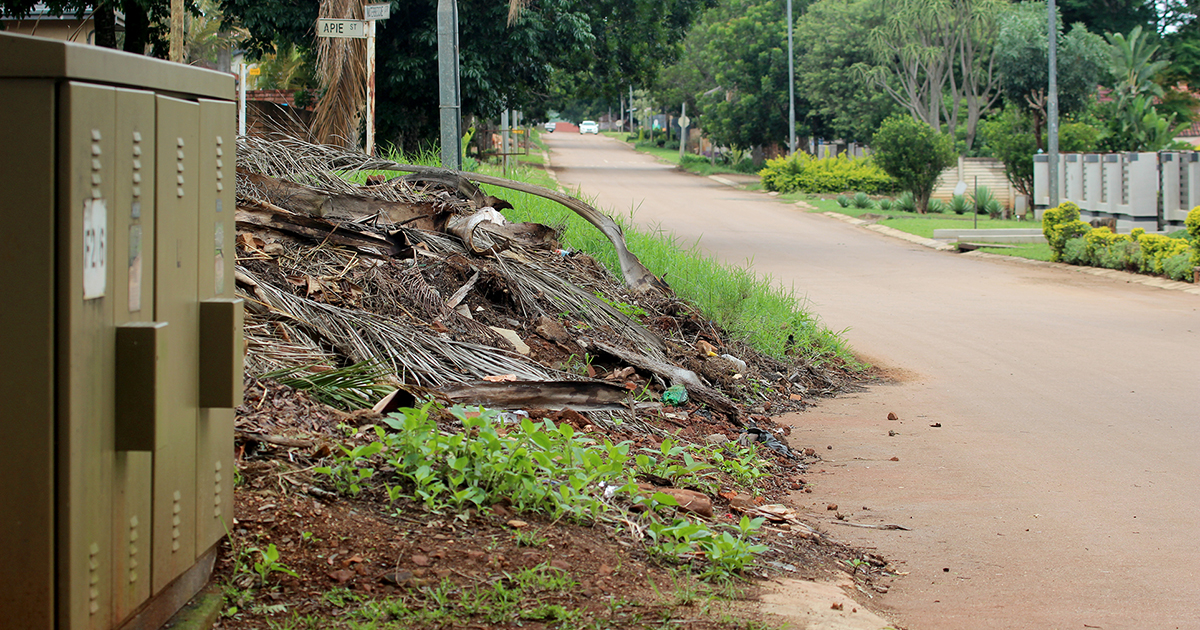 Almost a year later, the same problem of overgrown sidewalks persists