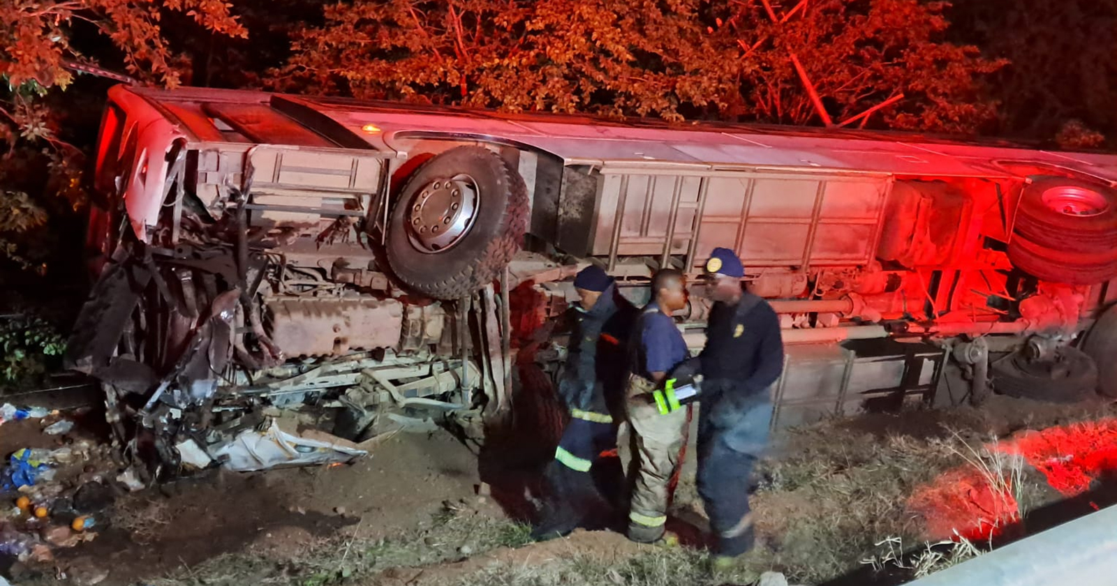 Repatriation bus driver dies after crash near Beitbridge