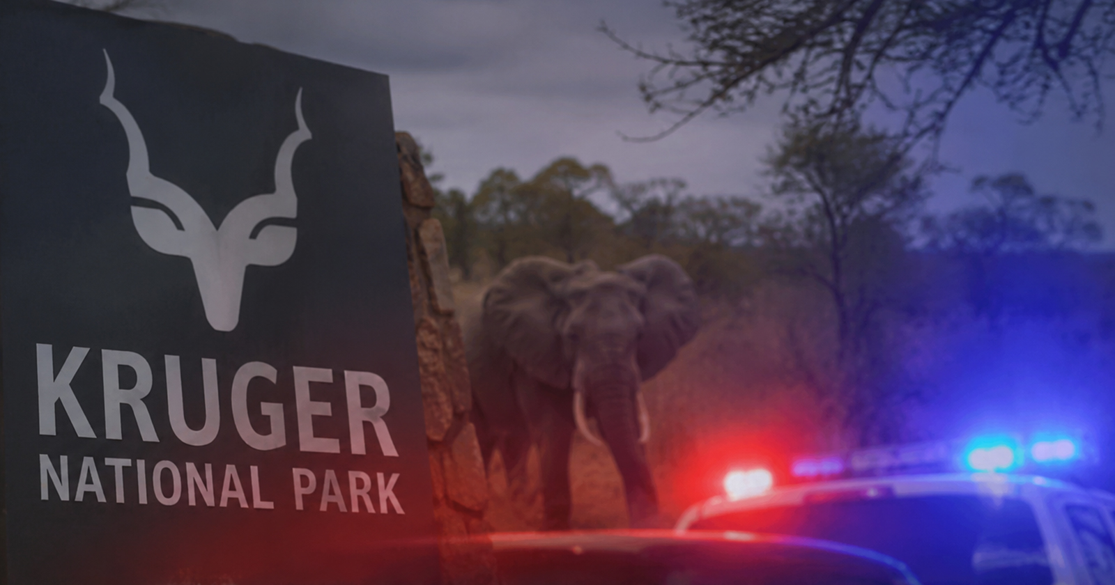 Suspects arrested in Mozambique over murder of KNP tourists
