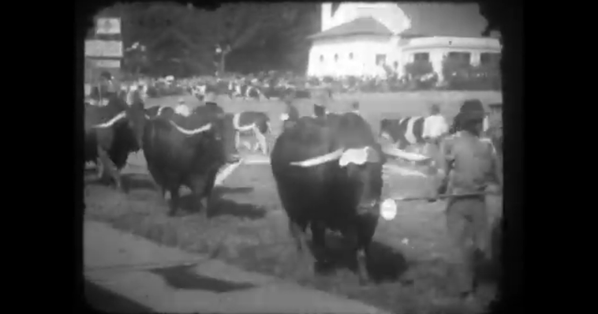 Watch: Oom Willem takes a trip to a mine, crosses Harties and visits Onderstepoort (Film 15)