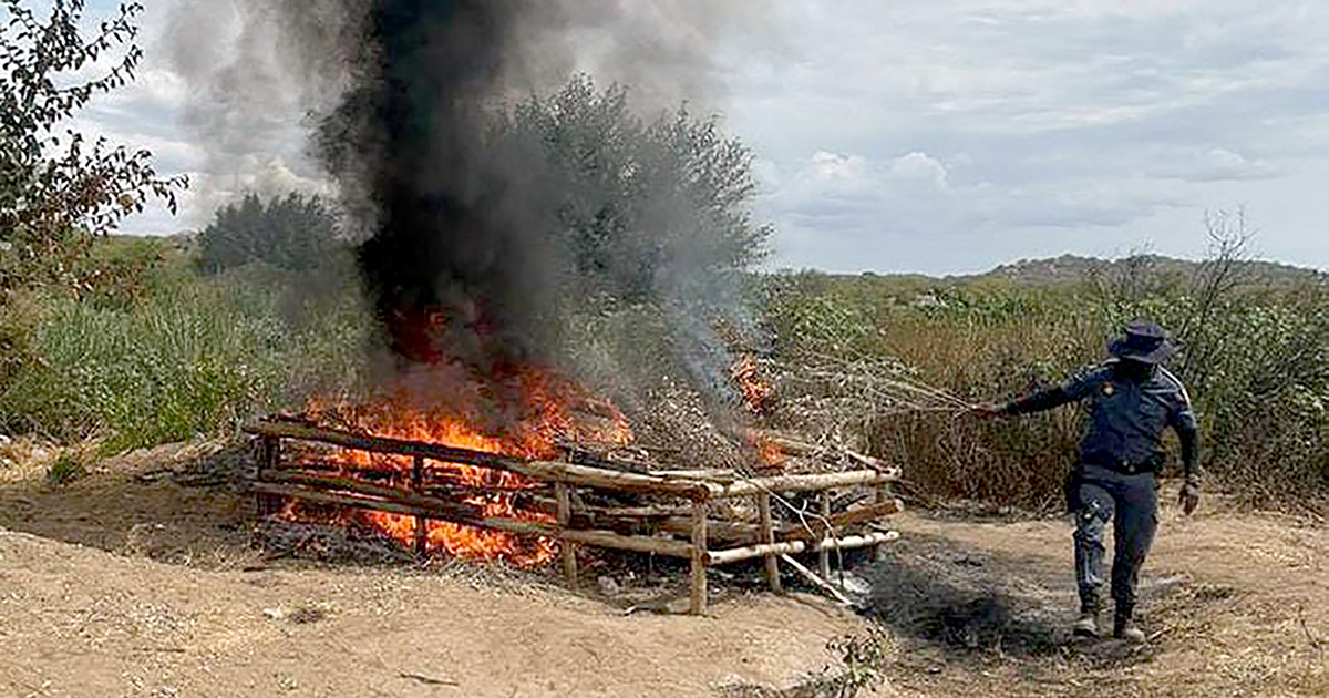Border police confiscate cigarettes