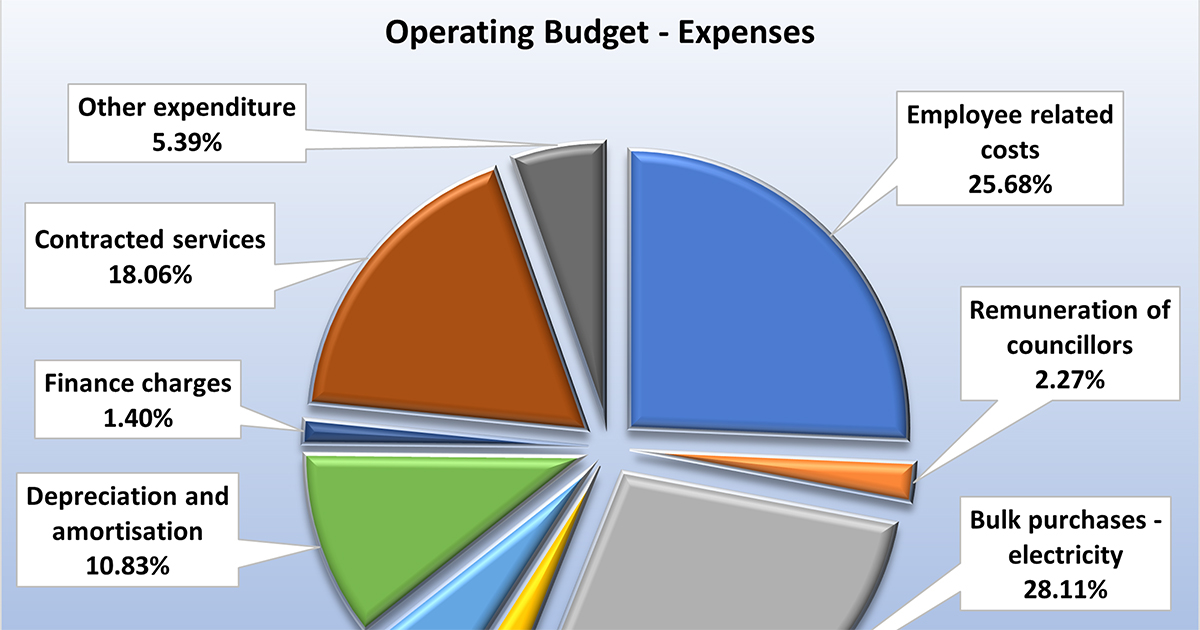 Makhado budget messy but conservative