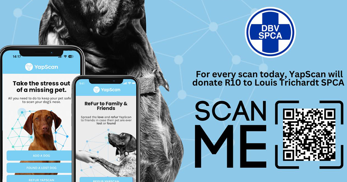 Pet owners can now use free app to help trace animals