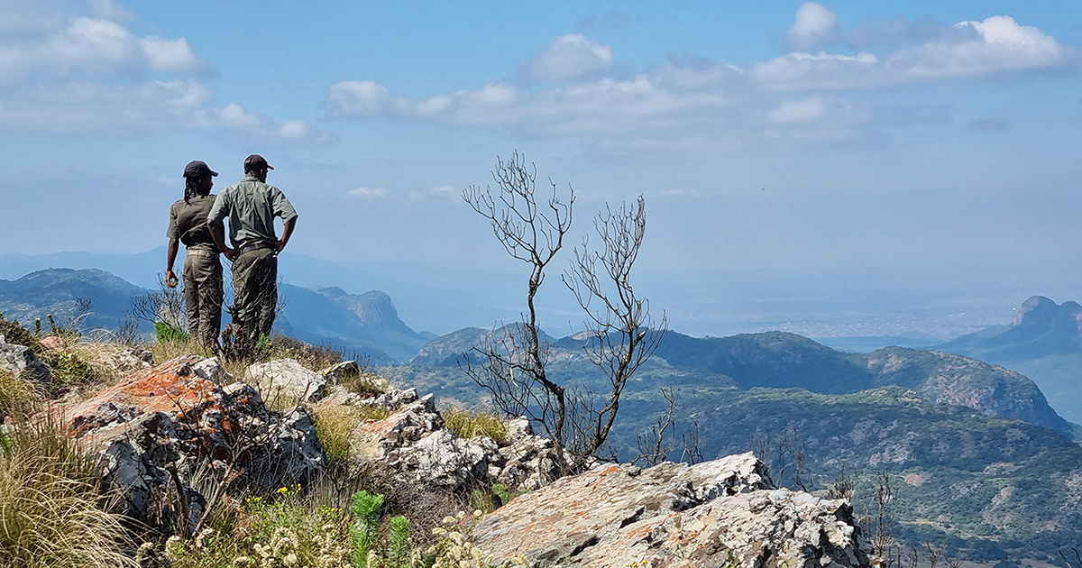 New nature reserve declared in the Soutpansberg mountains