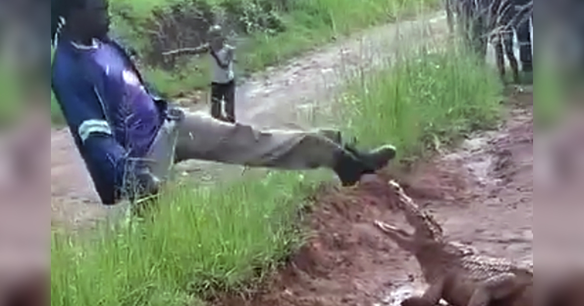 'King of Crocodiles' says he only tried to protect animal