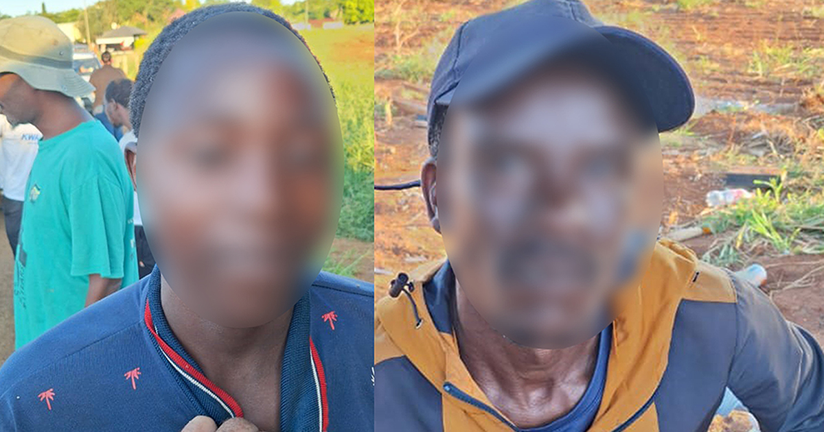 Twee vas nadat hulle skilpad probeer verkoop
