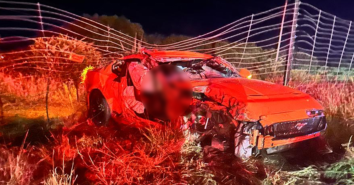 Slagting op N1 wek kommer