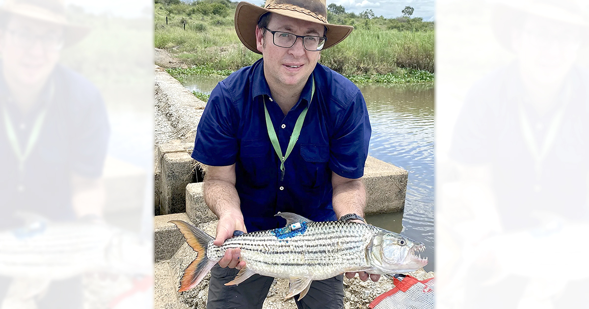 How healthy is the ‘great grey-green, greasy Limpopo River’? (Part 1)