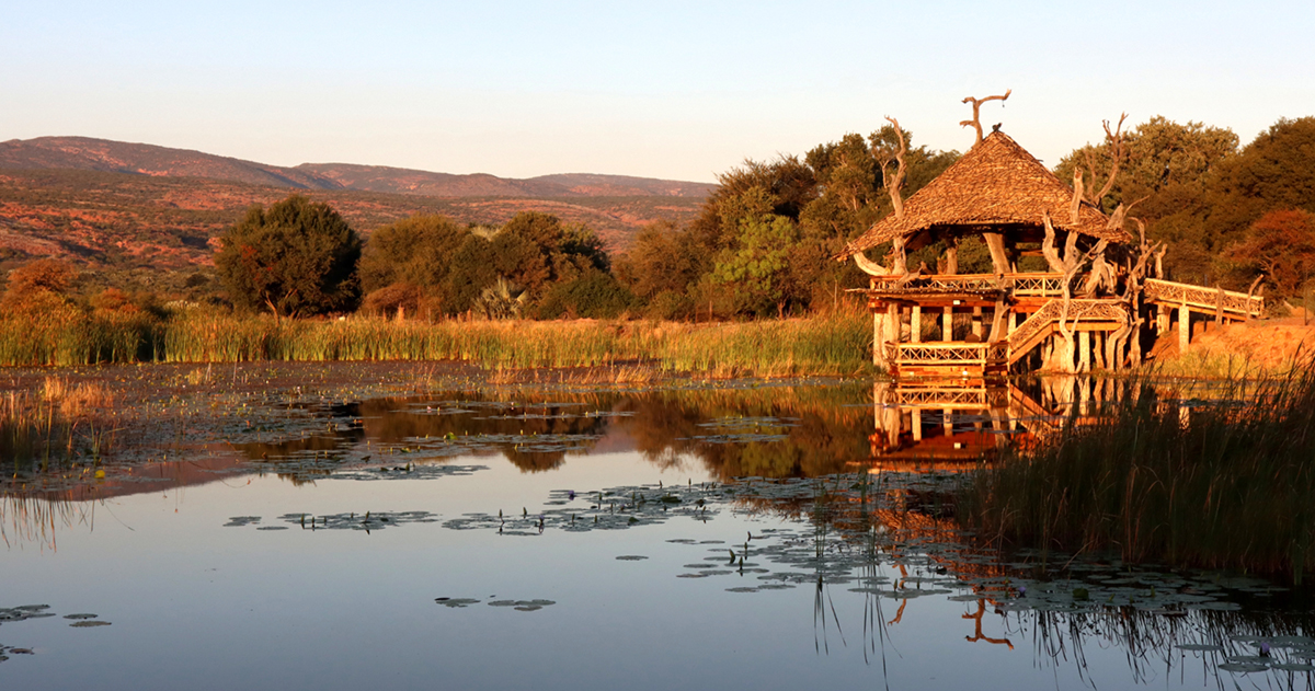 Bushbaby & Bluebell offers a bit of bushveld heaven