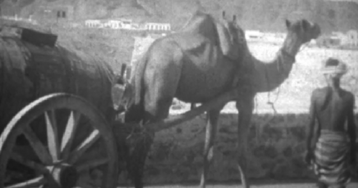 Watch: Aden, the Suez Canal and Egypt next on Oom Willem's itinerary (Film 3)