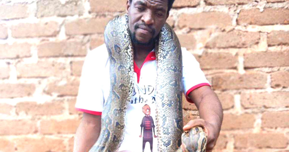 SPCA intensifies legal action against local snake catchers