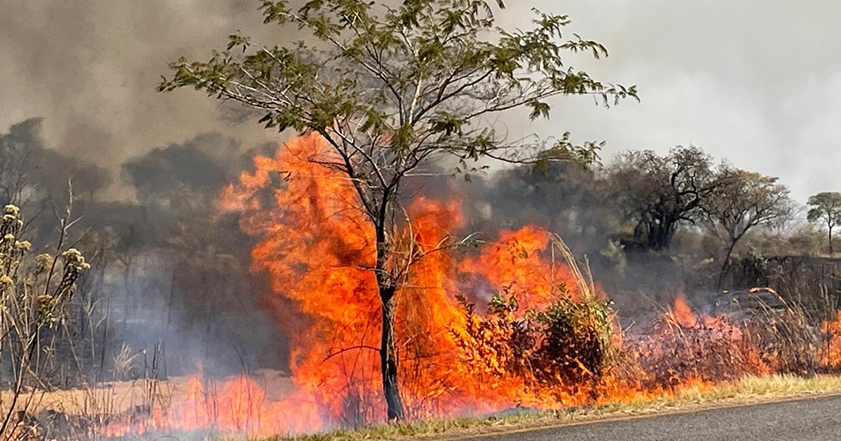 Vlamme laat boere bontstaan